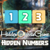 Hidden Numbers 100 Level : Hidden Objects Game