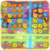 Flower Farm Blast