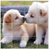 Puzzle Cute Dog怎么安装