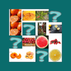 Memory Game Fruit官方版免费下载