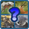 Guess the Animal!