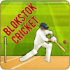 Blokstok Cricket