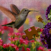 Jigsaw Puzzle - Nature Chitra Paheli / Pic Riddle