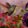 游戏下载Jigsaw Puzzle - Nature Chitra Paheli / Pic Riddle