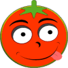 Tomato My Friend费流量吗