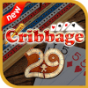 Cribbage 27如何升级版本