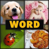 4 Pics 1 Word Puzzle如何升级版本