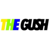 The Gush怎么安装