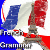 游戏下载French Grammar Quize