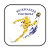 KickMaster Footgolf Premium占内存小吗