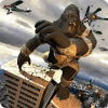 Transforming Robot Kong War: Wild Apes Mob Rampage安卓手机版下载