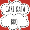 cari kata bro官方下载