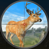 Deer Hunting Season Safari Hunt