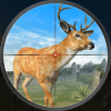 Deer Hunting Season Safari Hunt官方版免费下载