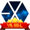 EXO Hexa Puzzle K-POP费流量吗