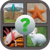 Guess the Animals Image Quiz