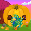 Cute Peacock Rescue Kavi Game-385