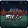 Homerun Baseball Zone