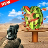 Watermelon Shooting - Free Fruit Shooting Games 3D绿色版下载