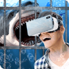 Swim Sharks In Cage VR Simulator官方下载