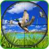 New Wild Duck Hunting 3D 2018费流量吗