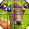 Tile Puzzle Wild Animals