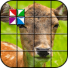 Tile Puzzle Wild Animals费流量吗