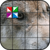 Tile Puzzle Wolfiphone版下载