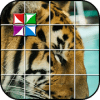 Tile Puzzle Tigeriphone版下载