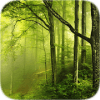 Forest Tile Puzzle