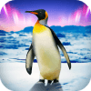 Penguin Family: Polar Bird Survival Simulator手机版下载