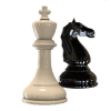 Chess Offline - Catur