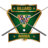 Billiard Race Mania