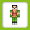 Jovens Titans Skin For MCPE快速下载