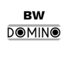 BW Domino版本更新