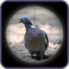 Sniper Pigeon Hunting 3D版本更新