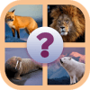 Guess the Animal Quiz