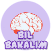 游戏下载Bil Bakalım!