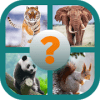 Guess The Animal - Quiz怎么下载到电脑