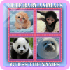 Cute Baby Animals - Guess The Names快速下载