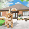 Cat Home : Kitten Daycare & Kitty Care Hotel