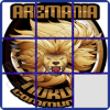 Puzzle Arema Game