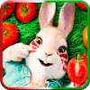 Wonder Peter Rabbit puzzle!如何升级版本