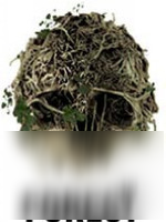 森林各地区产出物品介绍 各地区生产哪些物品