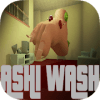 Ashi Wash占内存小吗