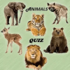 Animals Quiz 2018