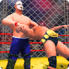 Wrestling Cage Mania - Free Wrestling Games : 2K18