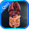 Internal Organs in 3D (Anatomy) Quiz费流量吗