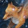 Before There Were Stars费流量吗