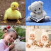 Cute Pictures Puzzle for Girls